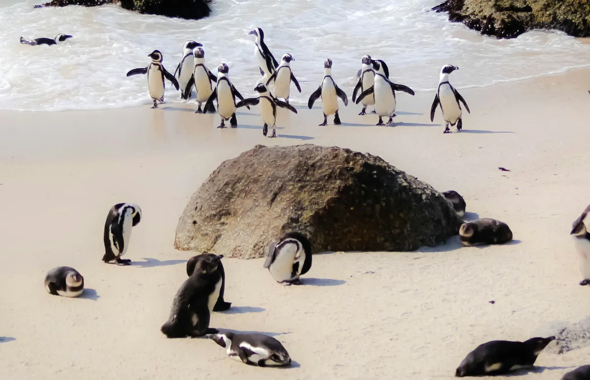 Linux Village